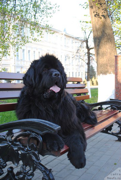 Фотография № 208177