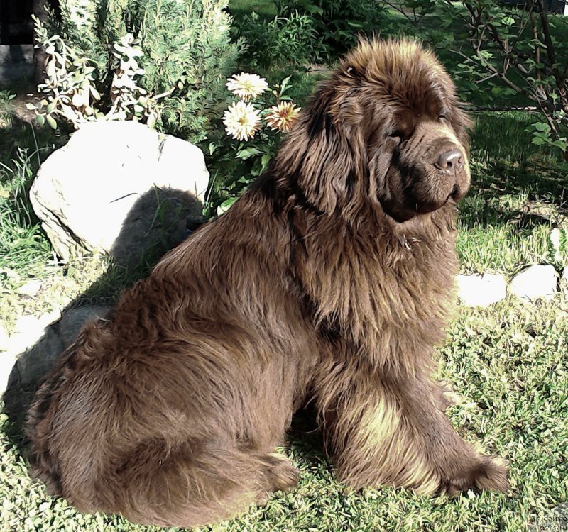 Фотография № 208178