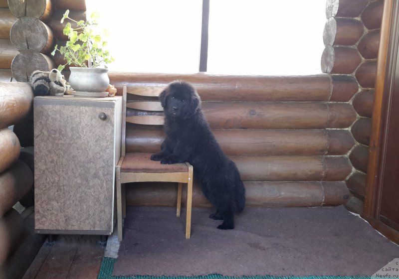 Фотография № 208191