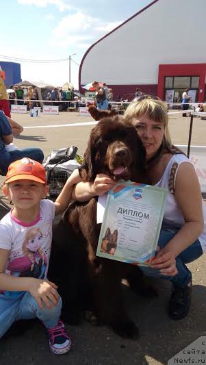 Фото: ньюфаундленд Единственная Моя Ефросинья