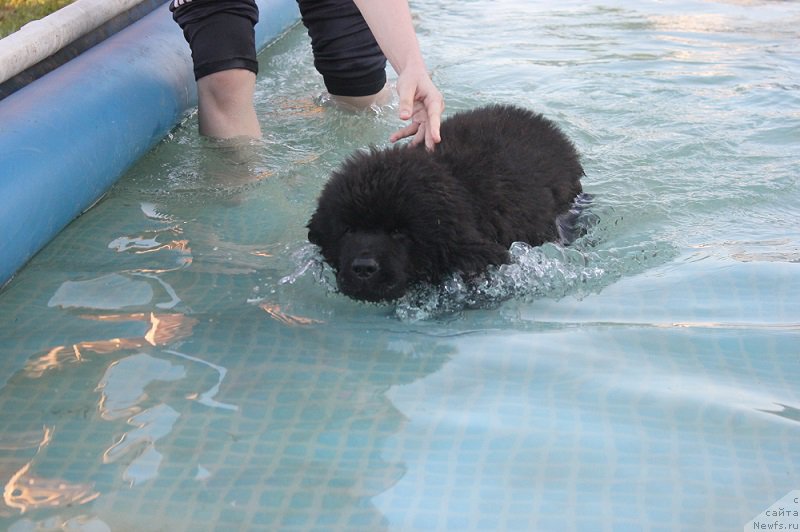 Фотография № 208242