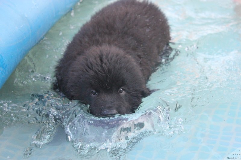 Фотография № 208243