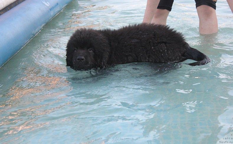 Фотография № 208244