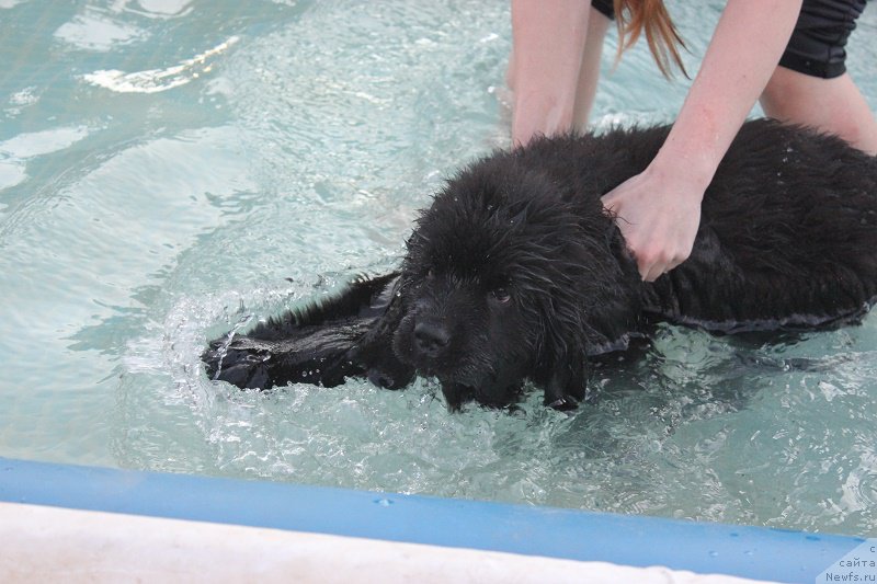 Фотография № 208245