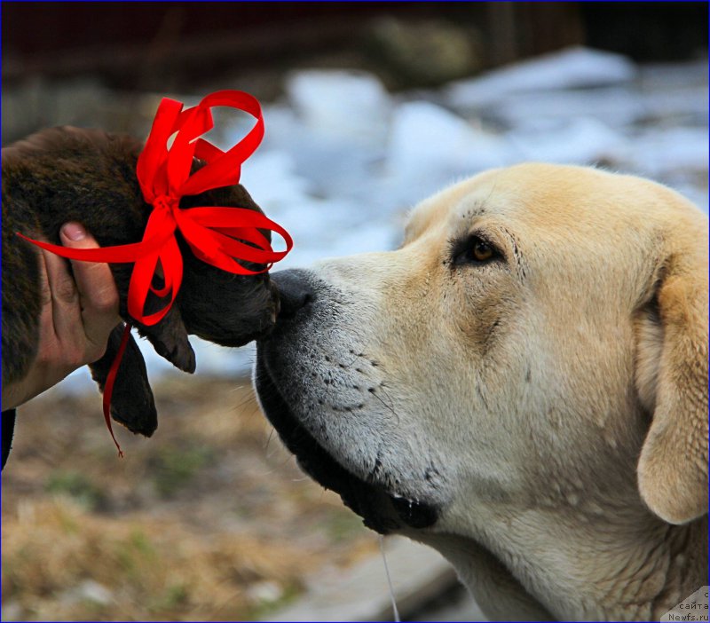 Фото: Лена Зырина