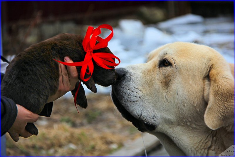 Фото: Лена Зырина