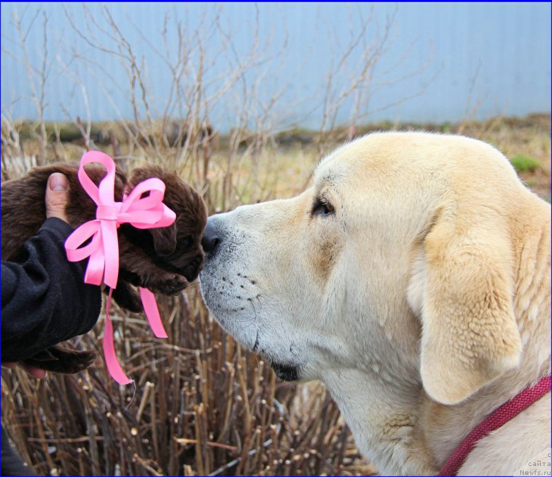 Фотография № 208249