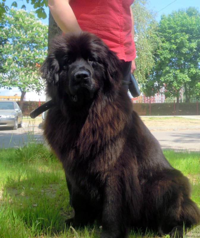 Фотография № 208257