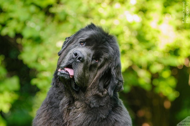 Фотография № 208263