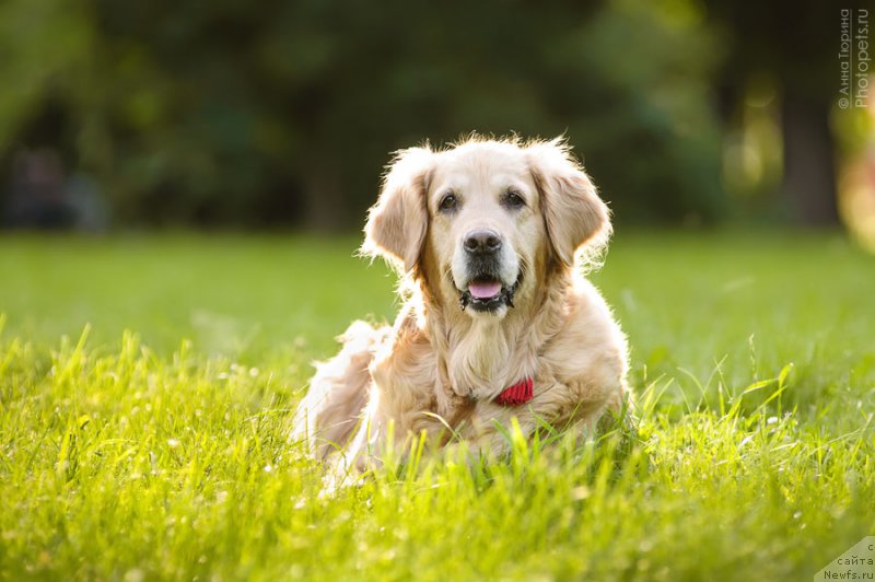 Фотография № 208264