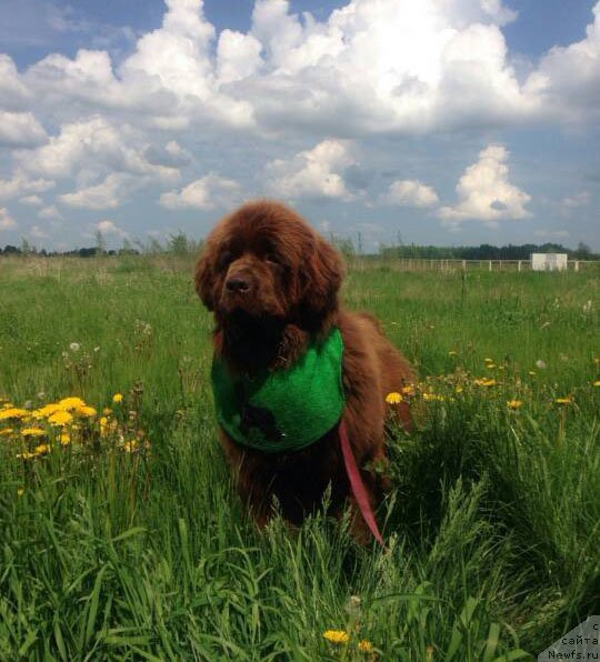 Фотография № 208272