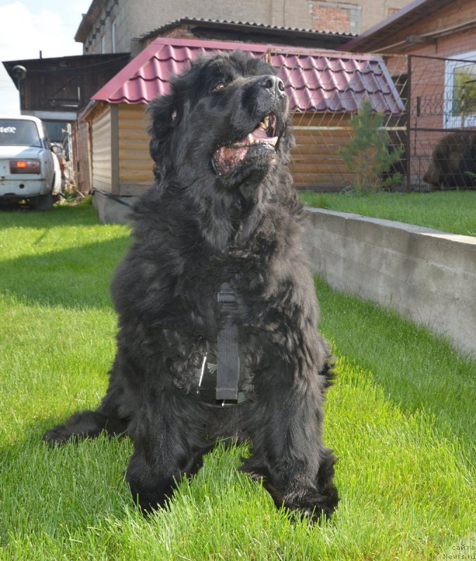 Фотография № 208276