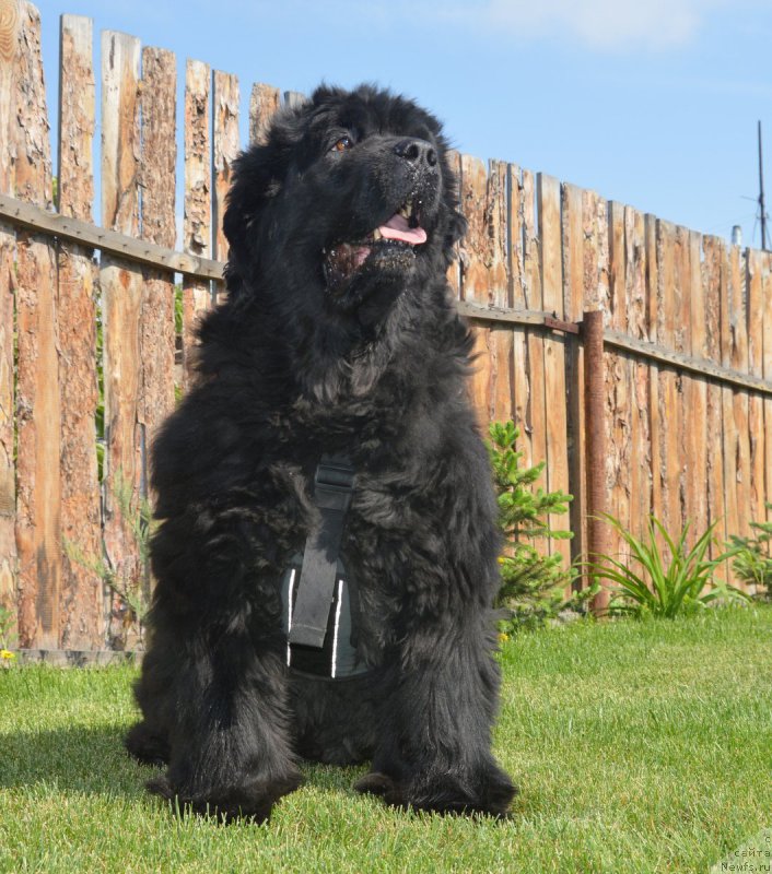 Фотография № 208277