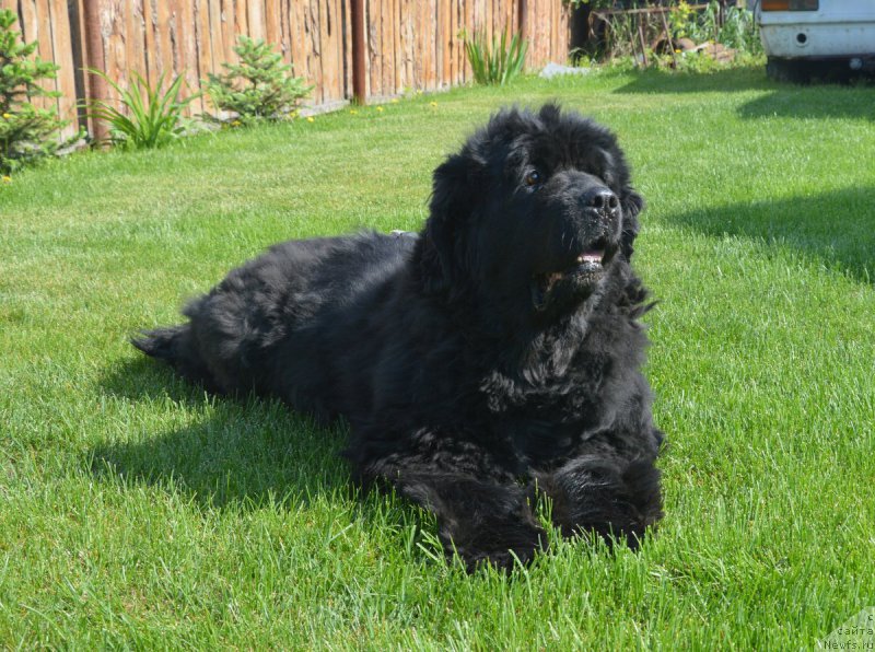 Фотография № 208279