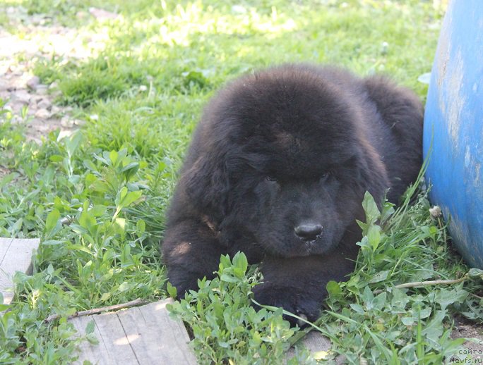 Фотография № 208341