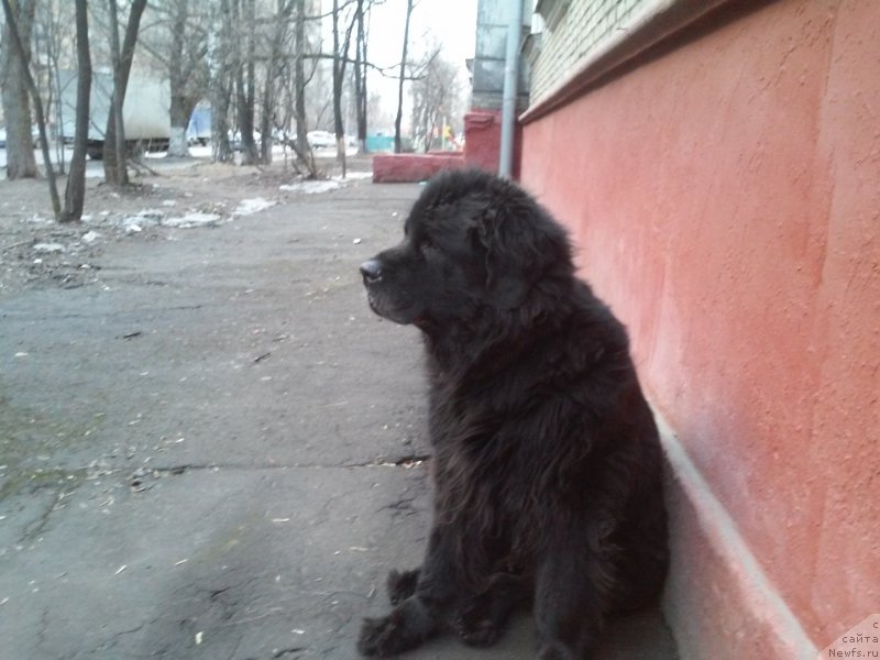 Фотография № 208350