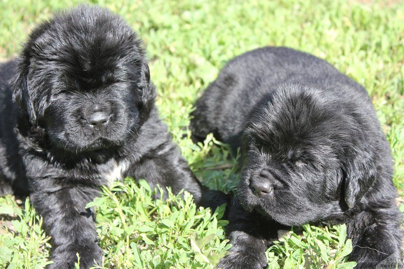 Фотография № 208352