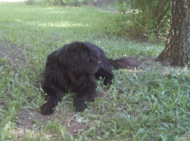 Фотография № 208357