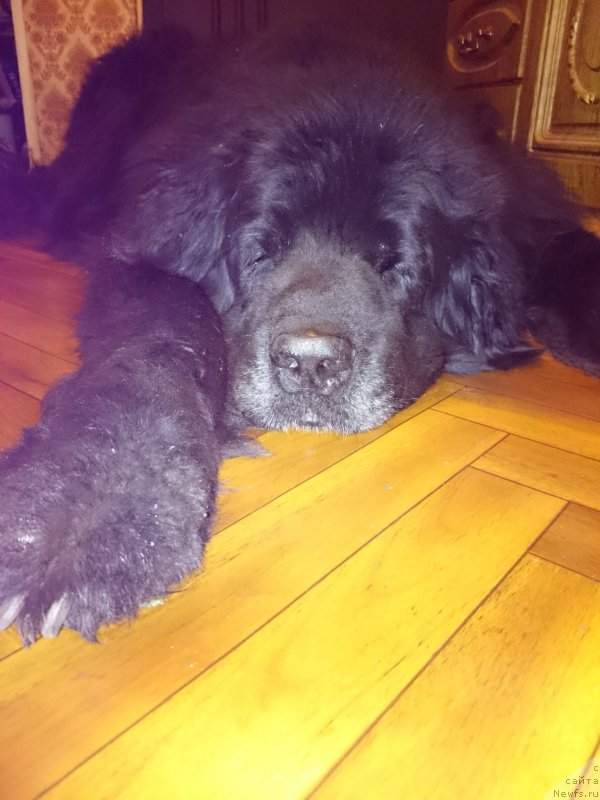 Фотография № 208360