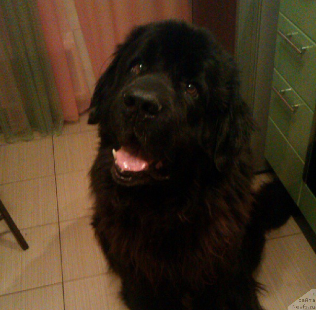 Фотография № 208361