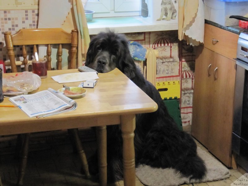 Фотография № 208366