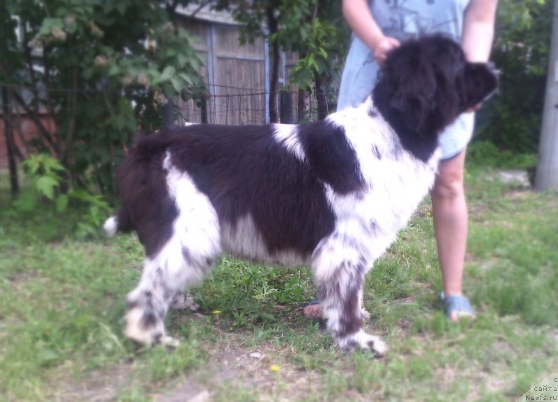 Фотография № 208389