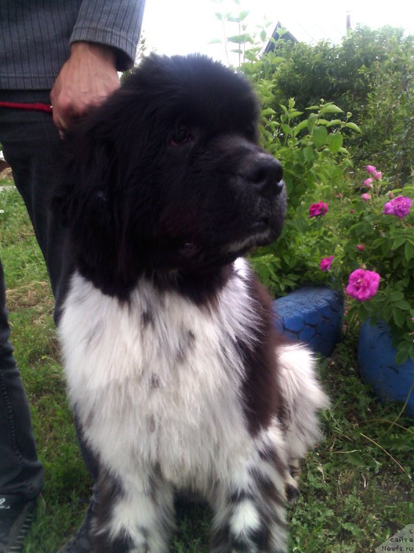 Фотография № 208393