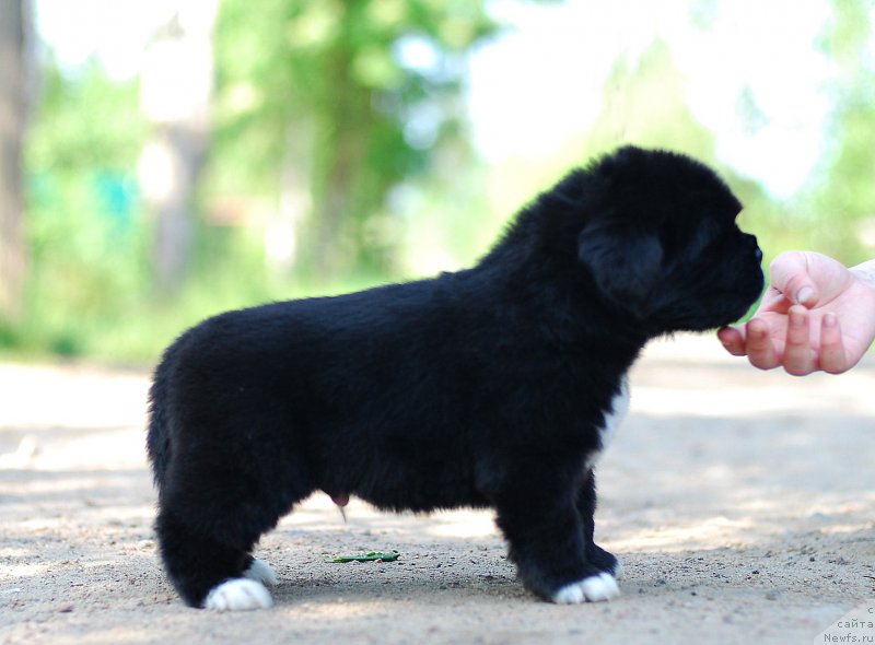 Фотография № 208399