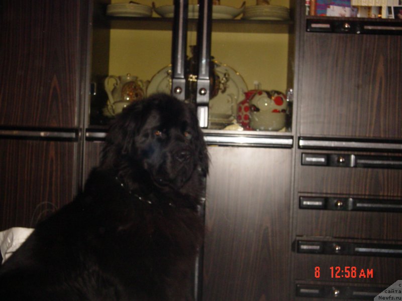 Фотография № 208434