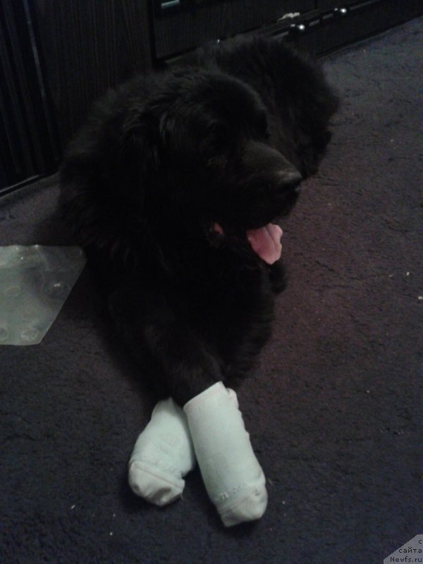 Фотография № 208436