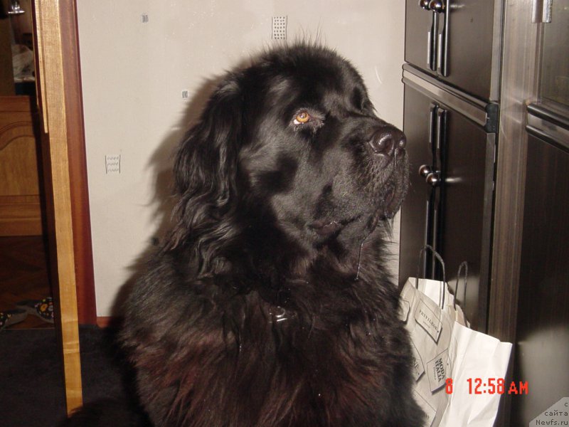 Фотография № 208437