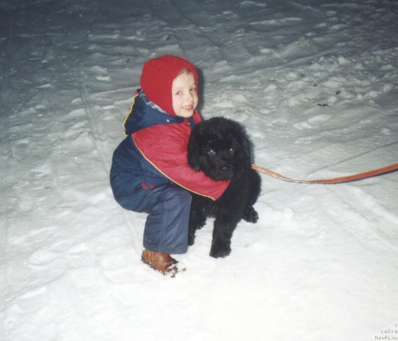 Фотография № 208439