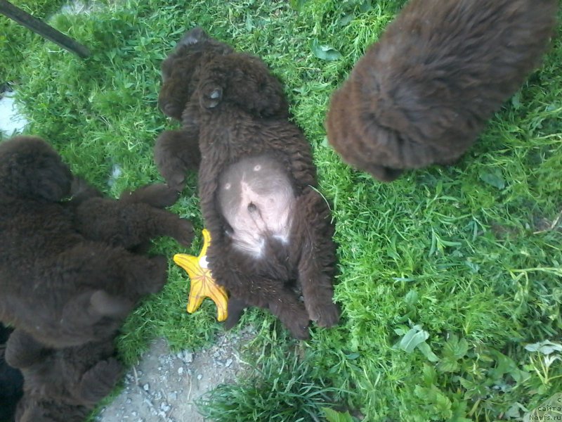 Фотография № 208459