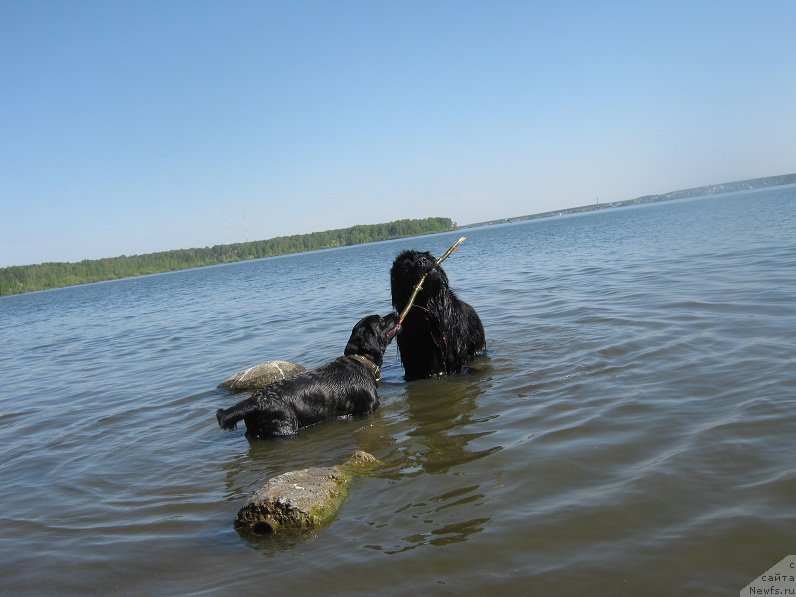 Фотография № 208462