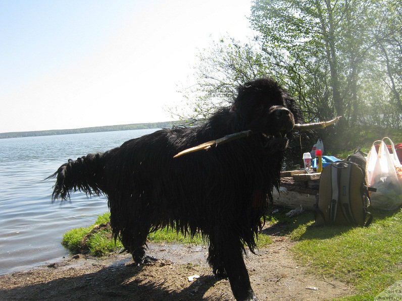 Фотография № 208463