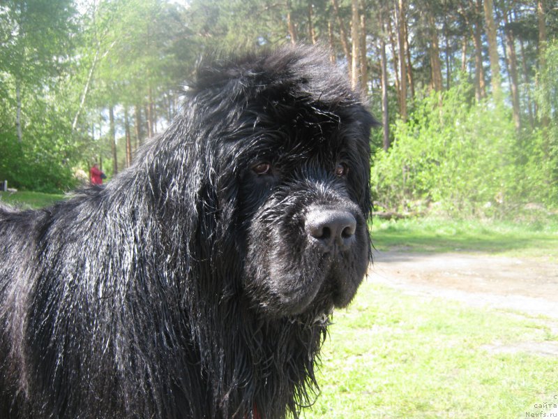 Фотография № 208464