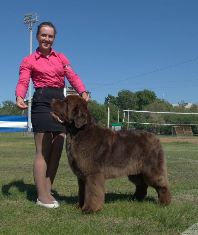 Фотография № 208465