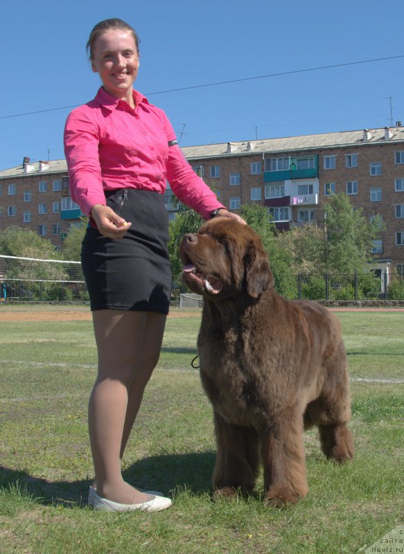 Фотография № 208466