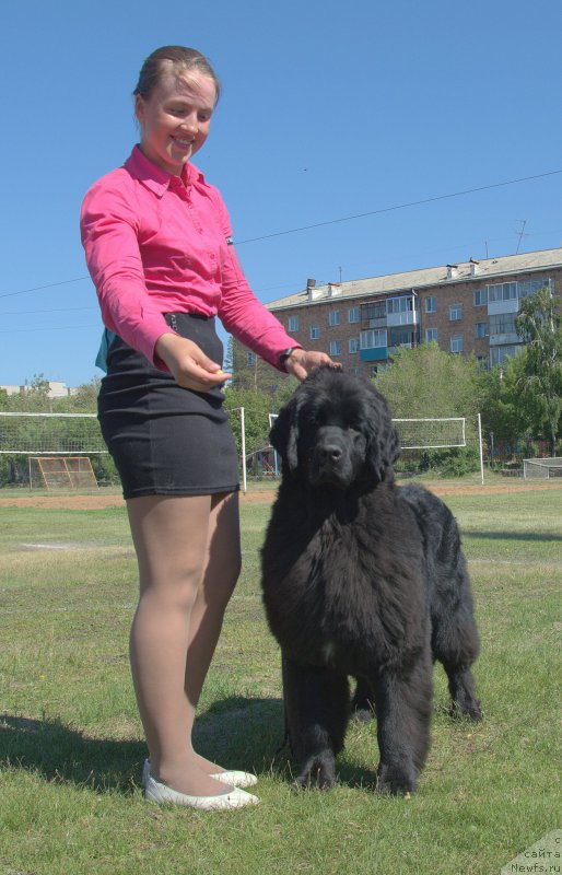 Фотография № 208469