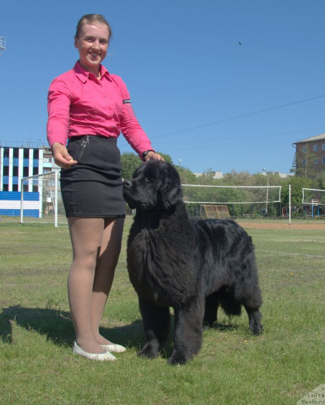 Фотография № 208470