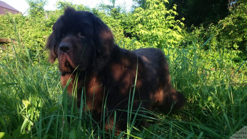 Фотография № 208475