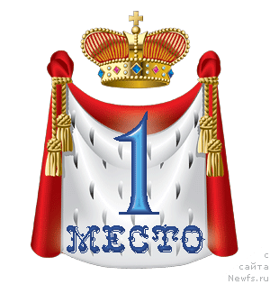 Фото: ньюфаундленд Белая Ночь от Карельских Медведей