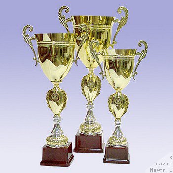 Фото: ньюфаундленд Белая Ночь от Карельских Медведей