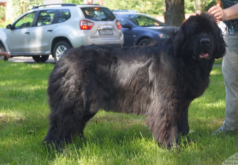 Фотография № 208493