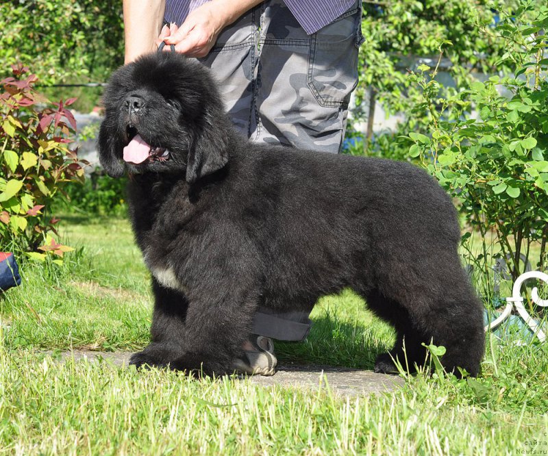 Фото: Бегущая по волнам Гугл Смайл