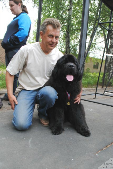 Фото: ньюфаундленд Акватория Келвин Есения (Aquatoriya Kelvin Eseniya)