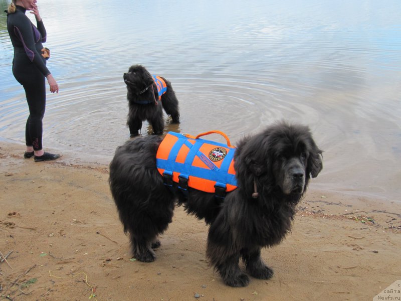 Фотография № 208524