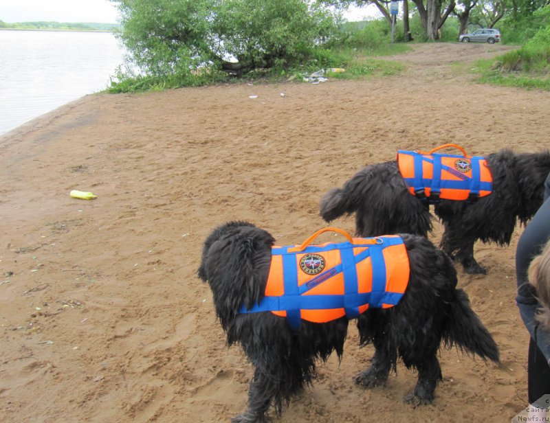 Фотография № 208525