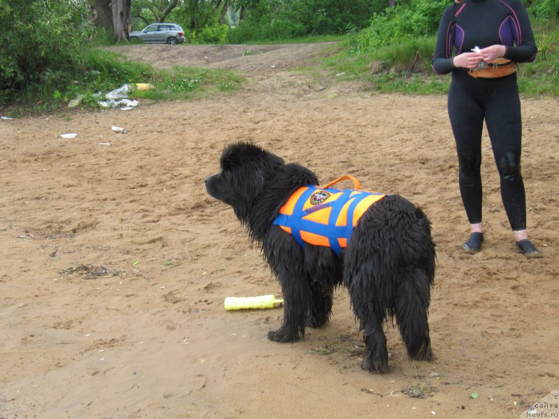 Фотография № 208526