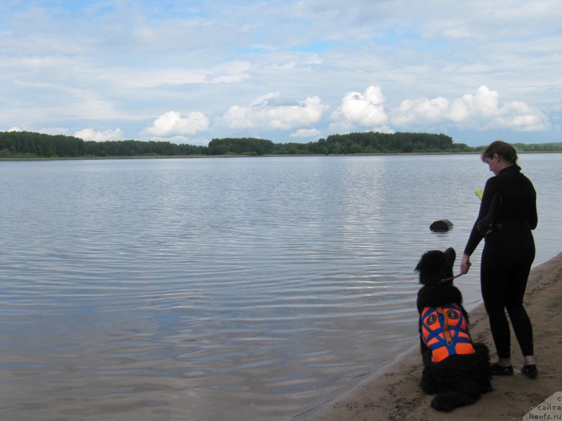 Фотография № 208527